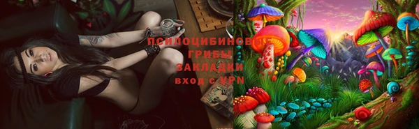 ГАЛЛЮЦИНОГЕННЫЕ ГРИБЫ Верхнеуральск