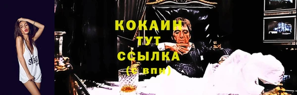 spice Верея