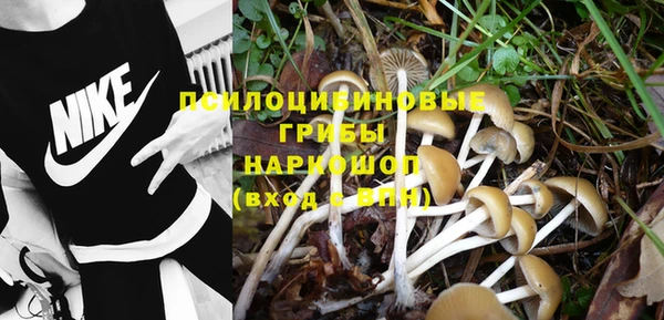 мдпв Верхний Тагил