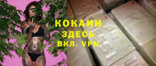 мдпв Верхний Тагил