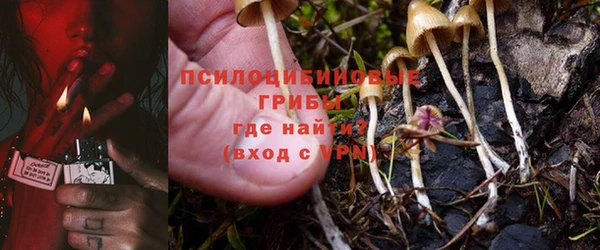 spice Верея