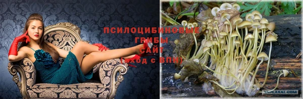 ГАЛЛЮЦИНОГЕННЫЕ ГРИБЫ Верхнеуральск